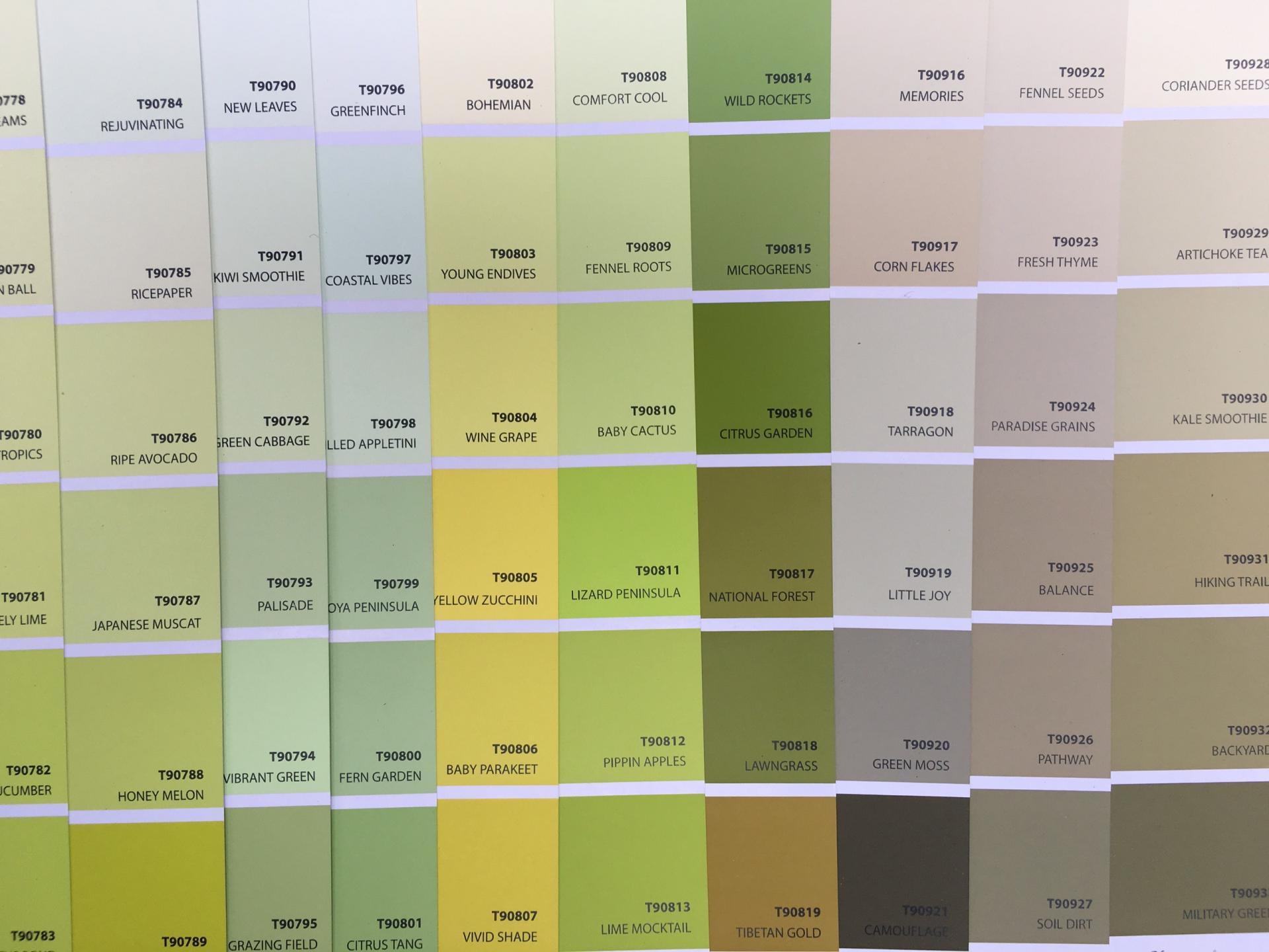 Sơn mykolor màu trắng kem, xanh nhạt